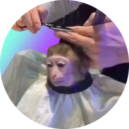 monk Coin: Latest meme Coin inspired by 'monkeyhaircut' – Join today!