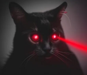 DCAT Coin: Dark Cat Coin - Discover the Latest MEME Coins Today!