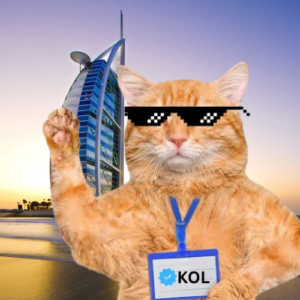 CTKOL: Meet CatKOL, the Meme Maestro Revolutionizing the Coin Name Coin