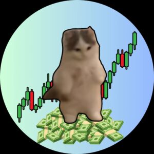 GMICHI Coin: Discover the Latest MEME Coin, It's Always a $GMICHI!