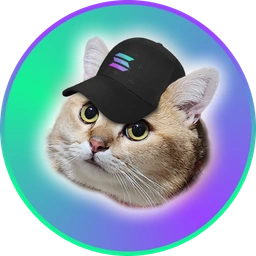 SOLCAT Coin: Meme Coin with Savvy Cat in a Solana Hat Adventures