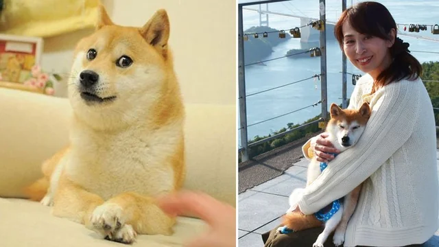 Atsuko Coin: Discover the Latest Atsuko MEME Coin Inspired by Doge!