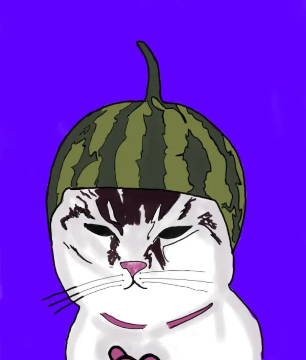 MELON Coin: Meme Coin Melon Cat - Join the Fun!