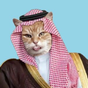 SCAT Coin: Sheikh Cat Meme Coin - Adventure in Golden Sands