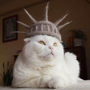 LIBERTY Coin: Meet LIBERTY CAT, the patriot of meme Coins!