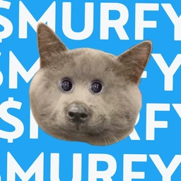 MURFY Coin: Is It a Dog or Cat? Discover MEME Coin Mystery