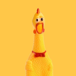 BAWK Coin: Meme Fun with the Famous Rubber Chicken BAWK Coin