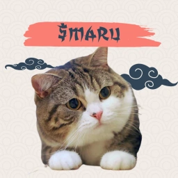 MARU Coin: Legendary Maru Meme Coin - Join the Fun with Maru Cat