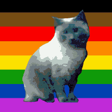 GAYCAT Coin: Meme Coin for Gay Cat Lovers | Join Us Now
