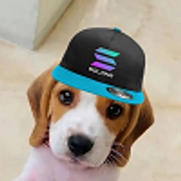 WINSTON Coin: Adorable Solana Dog Meme Coin - Join the Craze Now!