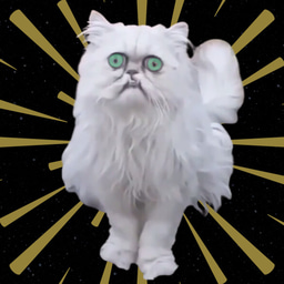 WILF Coin: Official Meme Coin of Wilfred, the Internet's Ugliest Cat!