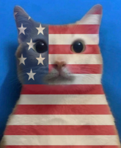 AMERICAT: Discover the Ultimate MEME Coin - AMERICAT Coin for the Nation