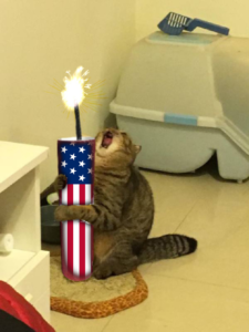 FIREWORKS Coin: Ignite Your Portfolio with Firework Cat Meme Coin