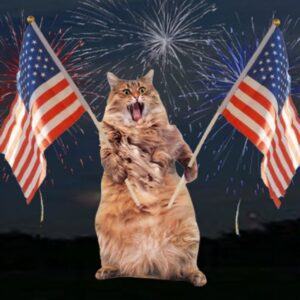 AMERICAT Coin: The Most Patriotic Meme Coin on Solana! Join Now!