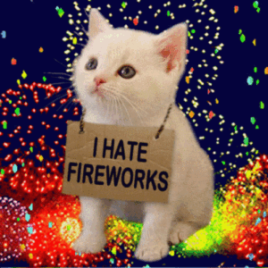 HATEFW Coin: This Meme Coin - i hate fireworks kitty