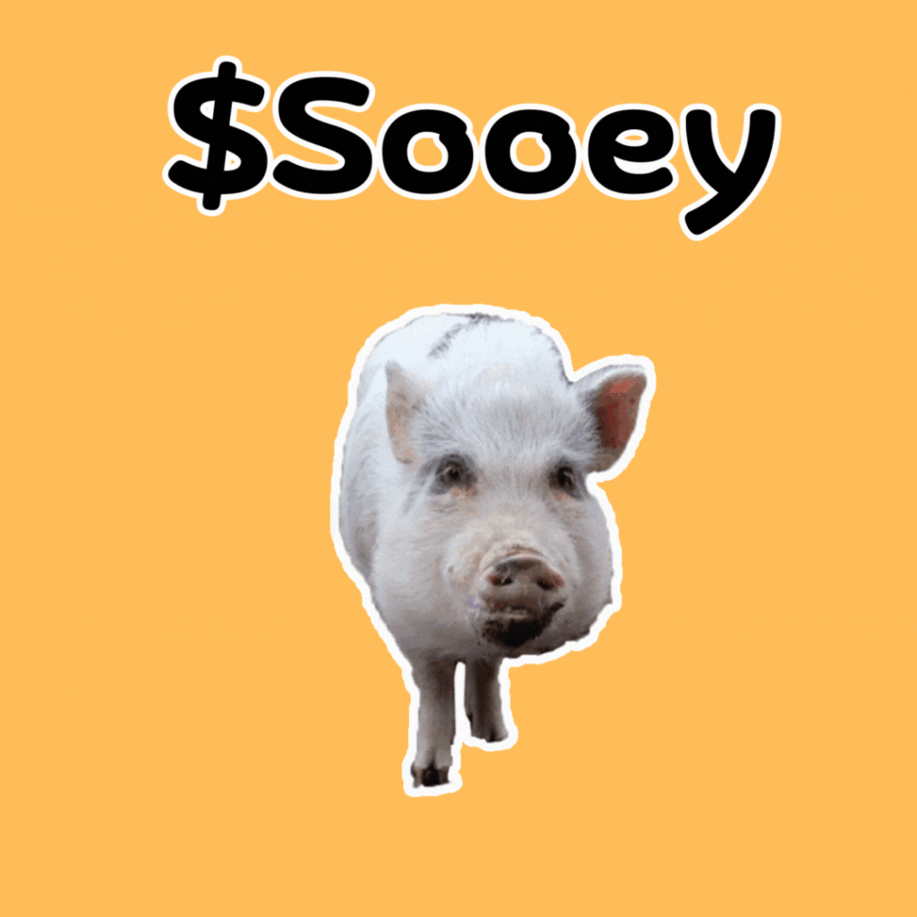 $SOOEY: Funniest Meme Coin u2013 Meet Sooey, the Big Laughs Coin