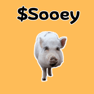 $SOOEY: Funniest Meme Coin – Meet Sooey, the Big Laughs Coin