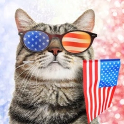 USA Cat: The MEME Coin. USA Cat Coin on Solana. Launched 4th July!