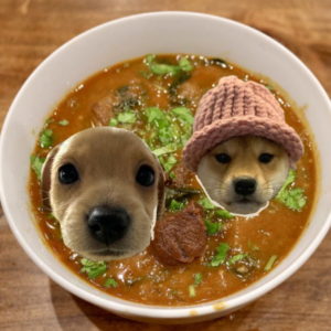 DogSoup Coin: Dive into MEME Coin Frenzy with Dog Soup