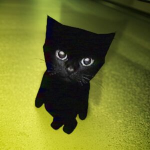 Nichi Coin: Discover 'nichi' Coin Name Meme Craze - PS1 Dark Cat Nichi