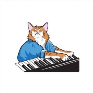 KEYCAT Coin: Purr-fect MEME Coin Inspired by KEYBOARDCAT