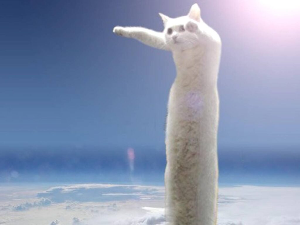 Long Coin: Discover the Long Cat Meme Coin Trend