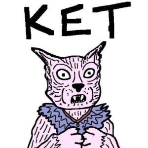 Ketamine Cat: Discover the 'ket' Meme Coin on MEME is Game!