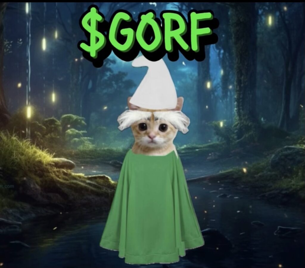 GORF The Gnome Cat: Meme Coin GORF Coin u2013 Unleash the Rogue Knights