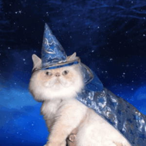 WIZ Coin: WIZCAT - Magical Cat Meme Coin on Solana with Ancient Powers