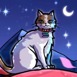 CATS COIN: Life is Short, Bet on This Meme Coin - $CATSの送信に成功しました
