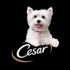 $WESTIE Coin: Meme Coin from Cesar Brand Dog Reaching Millions