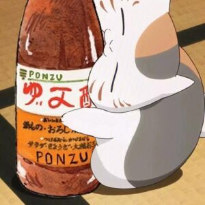 PonzuCat: The Meme Coin Ponzu Takes Over - Join Ponzucat Now!