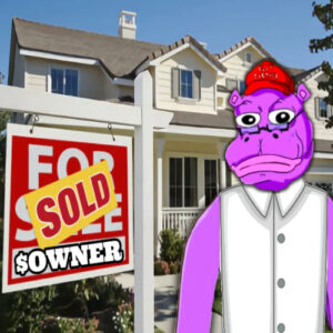 $OWNER: Meme Coin for New Homeowners - No Rent, No Credit Needed