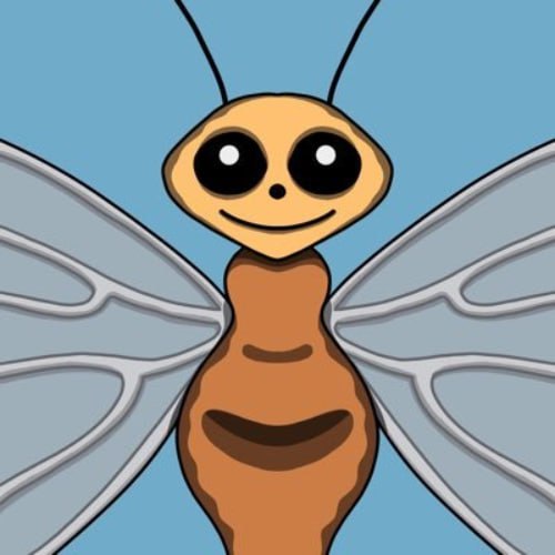 BUG Coin: Discover the Latest MEME Coin Craze - Join BUG PortalX Now!