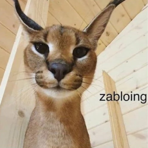ZAB Coin: Experience the thrill of 'Zabloing' with the latest MEME - ZAB Coin