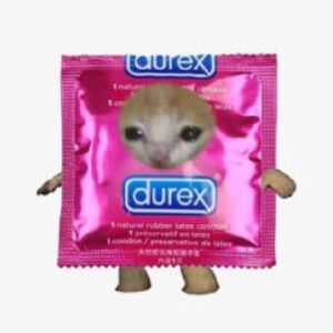 DUREX: The Quirky Mini Condom Cat Meme Coin Storming the Market