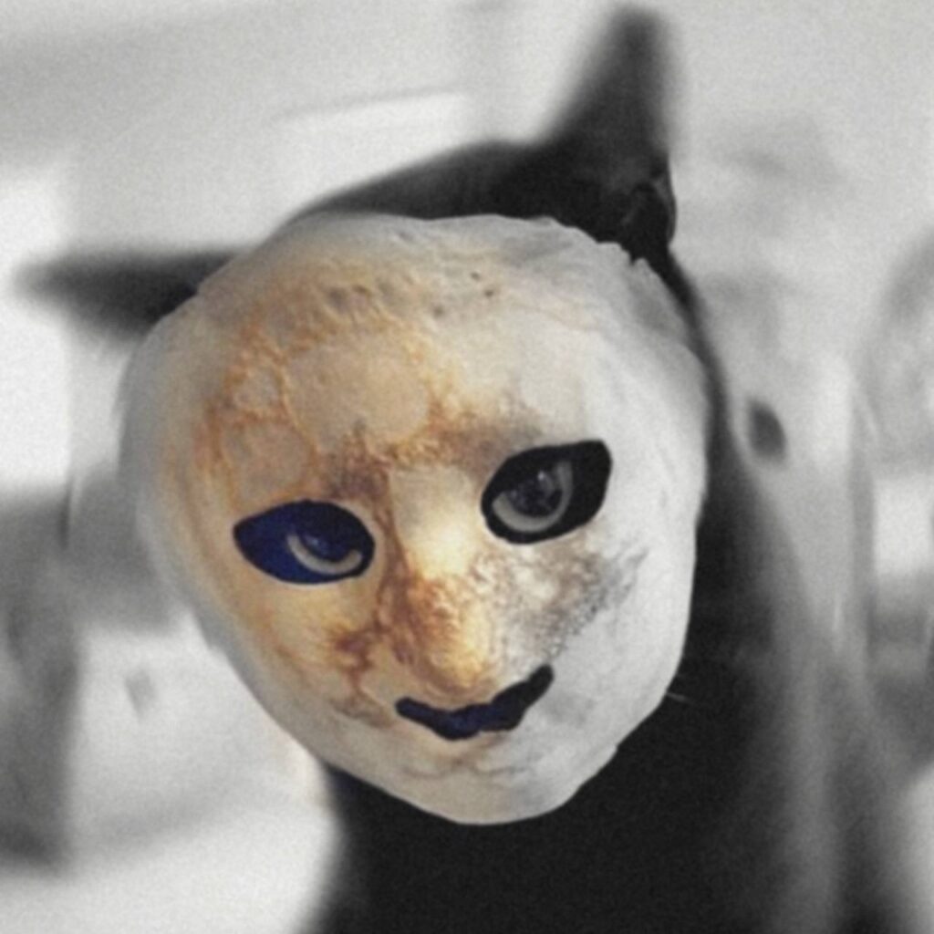 Crepe Coin: Meet Crepe, creepiest cat on Solana, scare jeets away with MEME Coins.