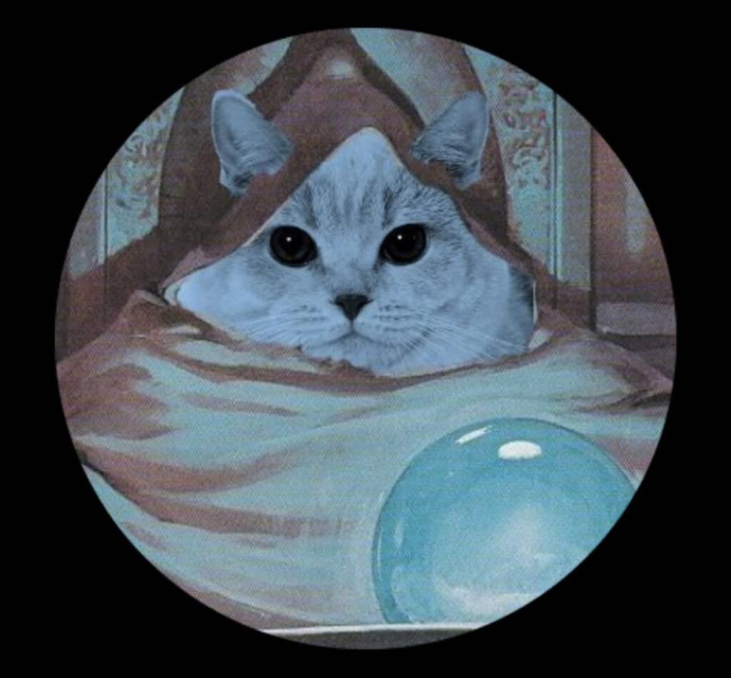 orb Coin: Discover orbcat on MEME for the Latest orb Coin Trend