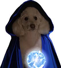 WD Coin: Wizard Dog, the MEME Coin of Magic and Fun