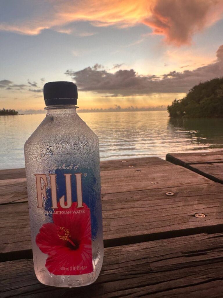 fiji Water: Pristine Rain Forest Purified by Equatorial Trade Winds, Meme Coin Name Coin