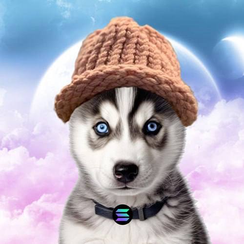 Huskyf Coin: Husky Wif Hat, the ultimate dog meme Coin name Coin