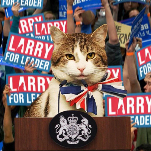 Prime Minister Cat