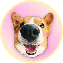 BODO Coin: BoopDoge Meme Coin for Dog Lovers and Crypto Enthusiasts