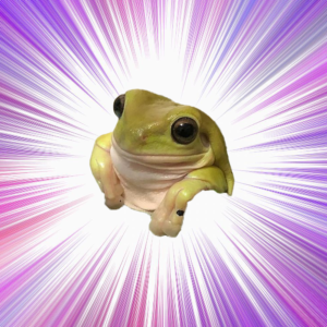 Joji Coin: Cutest Frog Meme Coin on Solana - Join the MEME Revolution