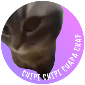 CHIPI: Discover MEME Coin CHIPI - Dive into MEME Coin Craze Now