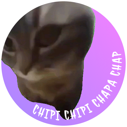 CHIPI: Discover MEME Coin CHIPI - Dive into MEME Coin Craze Now