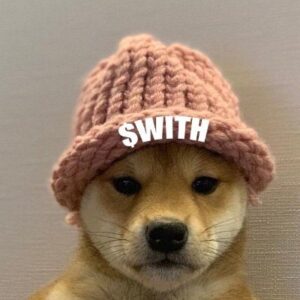 WITH Coin: Discover 'dogwithhat' - The Latest Meme Coin Innovation