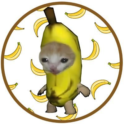 BCAT Coin: Banana Cat Meme Coin - Discover BCAT's Frenzy Today!