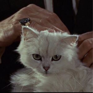 007 Coin: The purrfect meme Coin name Coin - JAMES BOND CAT