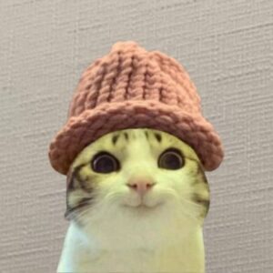 CatWIF Coin: Dive into the CatWifHat MEME - Join $CatWIF Coin Frenzy!